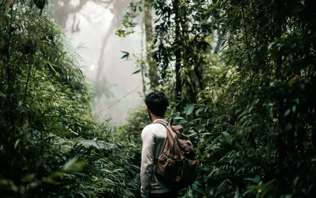 Backpacker met rugzak wandelt door een dicht, mistig tropisch regenwoud