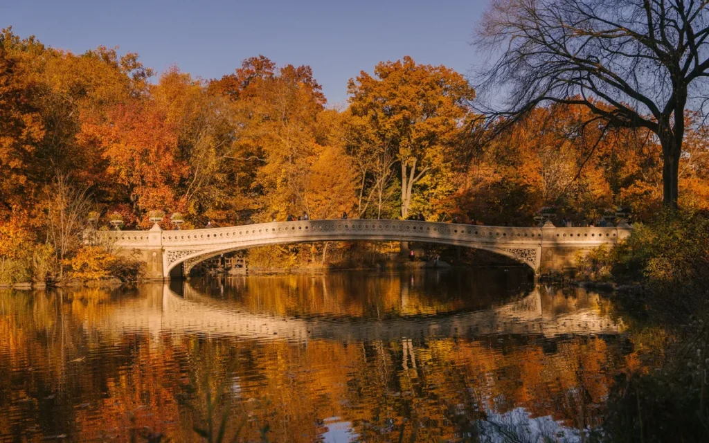 Bow Bridge in Central Park met oranje herfstbomen die weerspiegelen in het meer